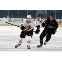 Chicago Wolves vs. Lake Erie Monsters