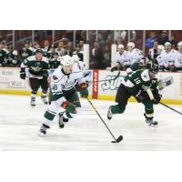 Iowa Wild vs. Texas Stars