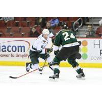 Iowa Wild vs. Texas Stars