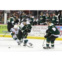 Iowa Wild vs. Texas Stars