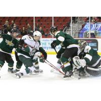 Iowa Wild vs. Texas Stars
