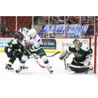 Iowa Wild vs. Texas Stars