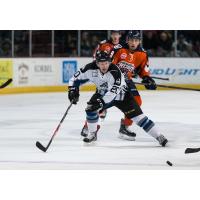 Idaho Steelheads Forward Jason Bast