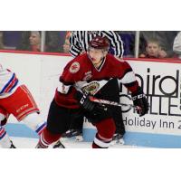 Muskegon Lumberjacks Defenseman Joseph Cecconi