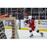 Steven Shamanski of the Elmira Jackals