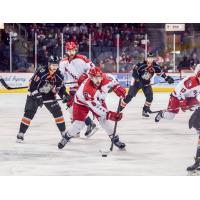 Allen Americans Defenseman Justin Baker