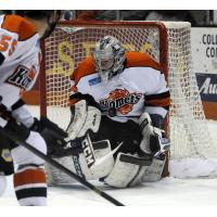 Fort Wayne Komets Goalie Roman Will