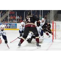 Gwinnett Gladiators vs. Evansville IceMen