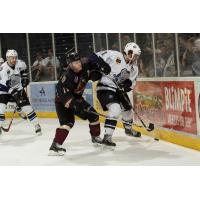 Gwinnett Gladiators vs. Evansville IceMen