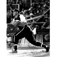 Lou Novikoff