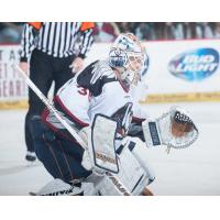 Bakersfield Condors Goaltender Laurent Brossoit