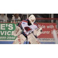 South Carolina Stingrays Goaltender Jeff Jakaitis