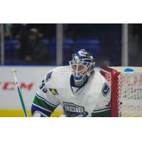 Utica Comets Goaltender Jacob Markstrom