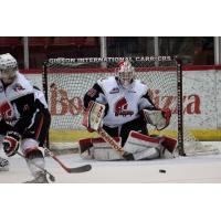 Zach Sawchenko of the Moose Jaw Warriors