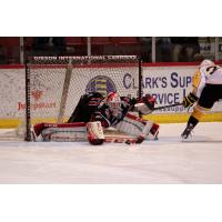 Zach Sawchenko of the Moose Jaw Warriors