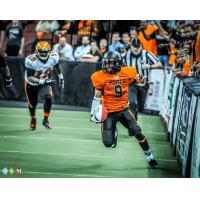 Wichita Force Wide Receiver Clarence Anderson