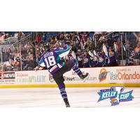 Solar Bears Celebrate Playoff Spot