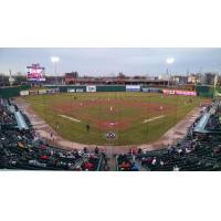 Lansing Lugnuts Face Michigan State Spartans