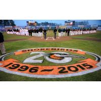 Delmarva Shorebirds vs. Greensboro Grasshoppers