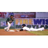 Delmarva Shorebirds vs. Greensboro Grasshoppers