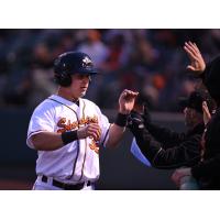 Delmarva Shorebirds vs. Greensboro Grasshoppers