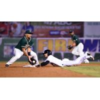 Delmarva Shorebirds vs. Greensboro Grasshoppers