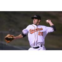 Delmarva Shorebirds vs. Greensboro Grasshoppers