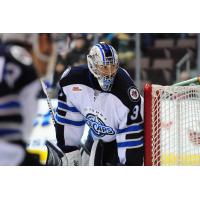 St. John's IceCaps Goaltender Connor Hellebuyck