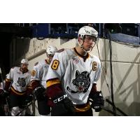 Chicago Wolves Defenseman Brent Regner