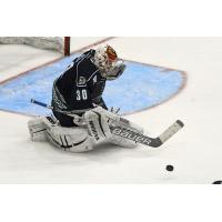 Goaltender Andy Iles with the Florida Everblades