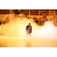 Indy Fuel Introductions