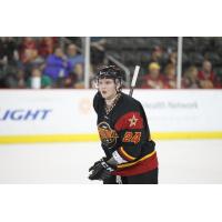 Indy Fuel vs. Kalamazoo Wings