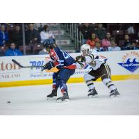 St. John's IceCaps vs. Hershey Bears