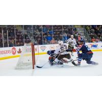 St. John's IceCaps vs. Hershey Bears