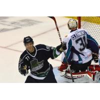 Florida Everblades vs. Orlando Solar Bears