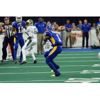 Tampa Bay Storm vs. San Jose SaberCats