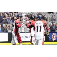 Brett Hickey of the Toronto Rock Celebrates a Goal