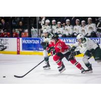 Everett Silvertips vs. Portland Winterhawks