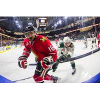 Everett Silvertips vs. Portland Winterhawks