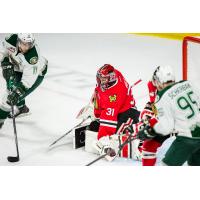 Everett Silvertips vs. Portland Winterhawks