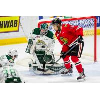 Everett Silvertips vs. Portland Winterhawks