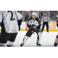 Milwaukee Admirals vs. Chicago Wolves