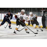 Chicago Wolves vs. Oklahoma City Barons