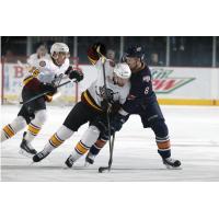 Chicago Wolves vs. Oklahoma City Barons