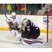 Lake Erie Monsters vs. Adirondack Flames