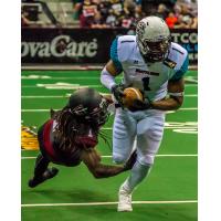 Arizona Rattlers vs. Cleveland Gladiators