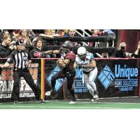 Cleveland Gladiators vs. Arizona Rattlers