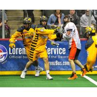 Minnesota Swarm vs. Buffalo Bandits