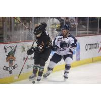 Quad City Mallards vs. Tulsa Oilers