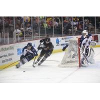 Quad City Mallards vs. Tulsa Oilers